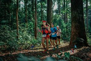 BIB: 
                            <button type="button" onclick="openModal(26132809)" class="btn btn-primary btn-sm float-right btn-popup" data-toggle="modal" data-target=".modal-high-quality">
                        <i class="fas fa-shopping-cart"></i> Add to Cart
                    </button>
                                            <button type="button" onclick="isThisMe(26132809, true)" class="btn btn-success btn-sm float-right btn-popup btn-isme hidden" data-toggle="tooltip" data-placement="bottom" title="นี่คือรูปของคุณใช่ไหม คลิกที่นี่เพื่อเอาเข้าอัลบั้ม">
                        <i class="fas fa-plus"></i> Add to album
                    </button>
                    <button type="button" onclick="isThisMe(26132809, false)" class="btn btn-warning btn-sm float-right btn-popup btn-isnotme hidden">
                        <i class="fas fa-ban"></i> Remove from album
                    </button>